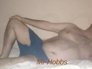 Mr_Hobbs