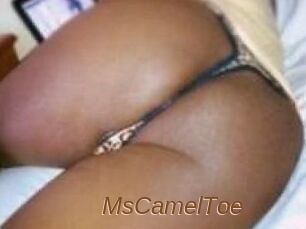 MsCamelToe