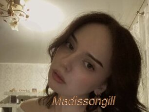 Madissongill