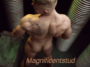 Magnificentstud