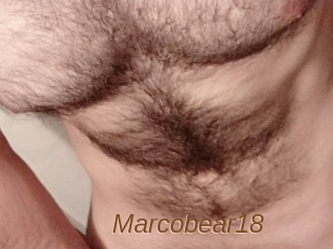 Marcobear18