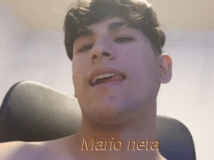 Mario_neta