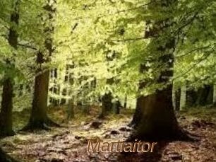 Martiaitor