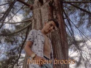 Mathew_brooks