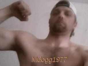 Mdogg1977