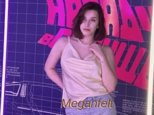 Meganfelt