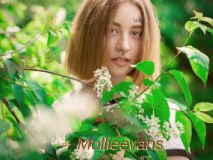 Mollieevans