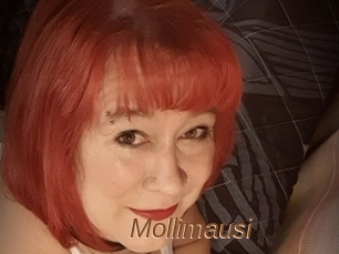 Mollimausi