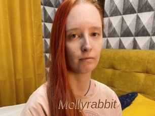 Mollyrabbit