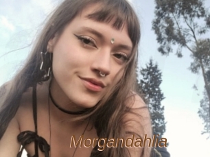 Morgandahlia