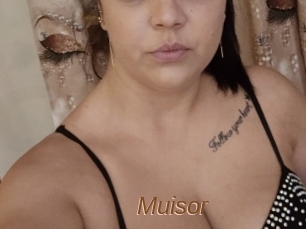 Muisor