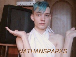 NATHAN_SPARKS