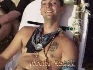 Nectar_Rabbit