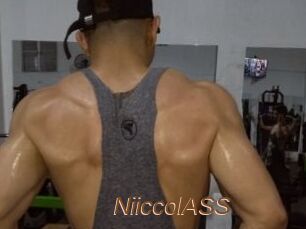 NiiccolASS