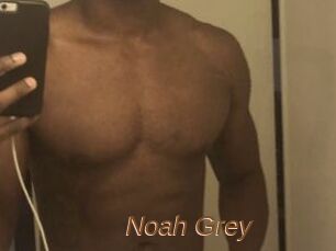 Noah_Grey