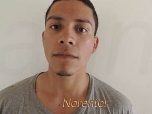 Noren_tor