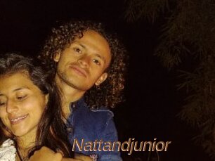 Nattandjunior