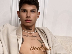 Nedfollin