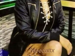 Nicecattx