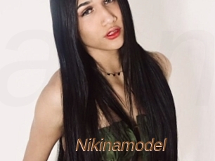 Nikinamodel