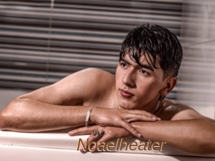 Noaelheater