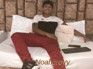 Noahgreyy