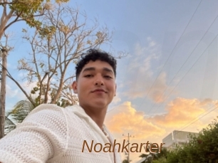 Noahkarter