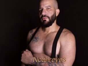 Noahreyes