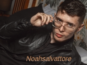 Noahsalvattore