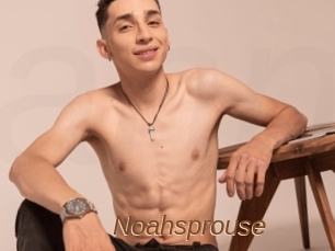 Noahsprouse