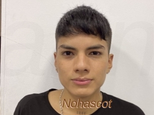 Nohascot