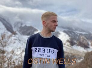 OSTIN_WELLS