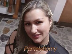 Pamelahorny