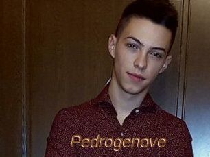 Pedrogenove