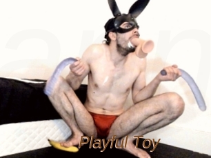 Playful_Toy