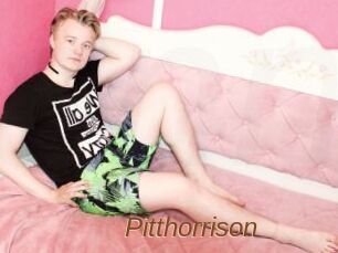 Pitthorrison