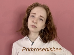 Primrosebisbee