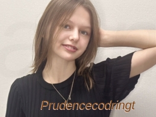 Prudencecodringt