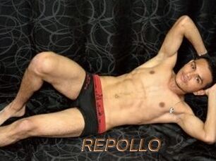 REPOLLO