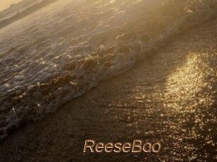 ReeseBoo