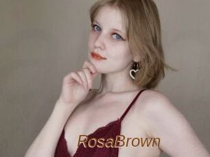 RosaBrown