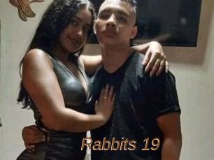 Rabbits_19