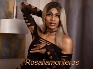 Rosaliamonteros