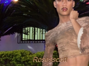 Rosesscott