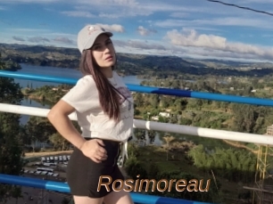 Rosimoreau