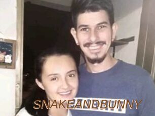 SNAKEANDBUNNY