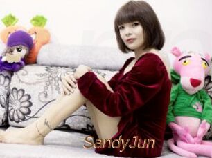 SandyJun