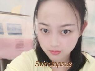 Scindapsus