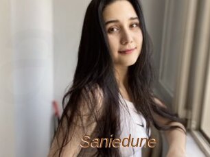 Saniedune