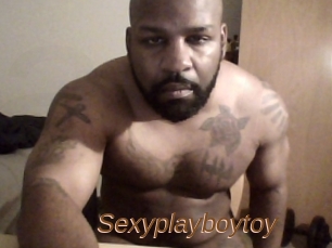 Sexyplayboytoy